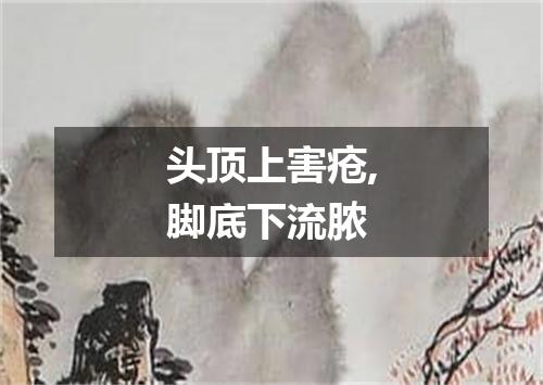 头顶上害疮,脚底下流脓