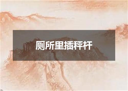 厕所里插秤杆