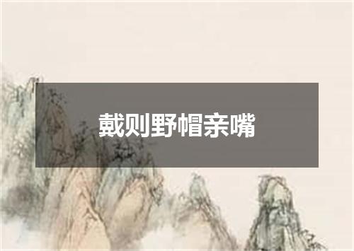 戴则野帽亲嘴