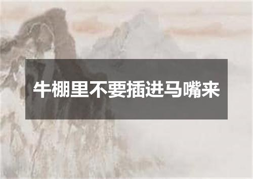 牛棚里不要插进马嘴来