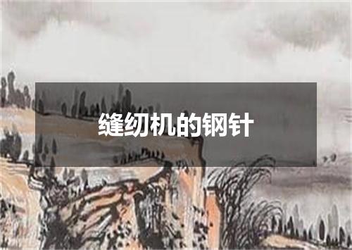 缝纫机的钢针
