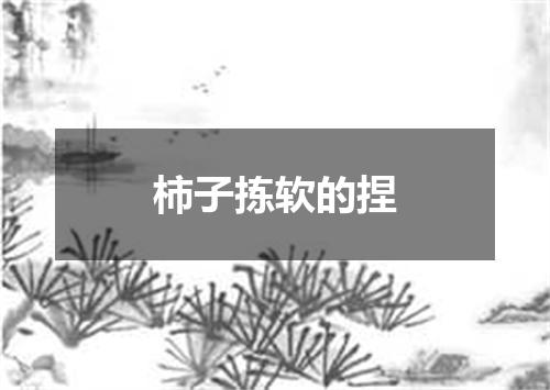 柿子拣软的捏