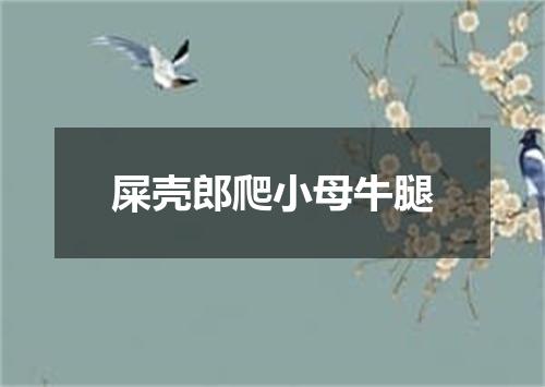屎壳郎爬小母牛腿