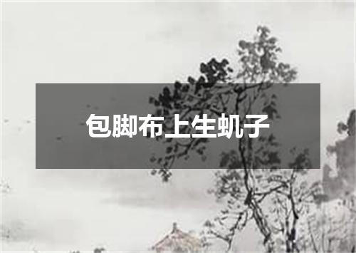 包脚布上生虮子