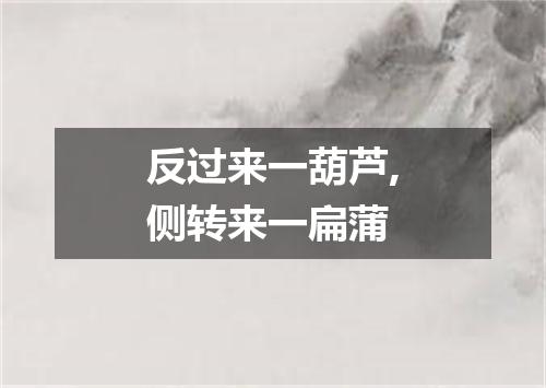 反过来一葫芦,侧转来一扁蒲