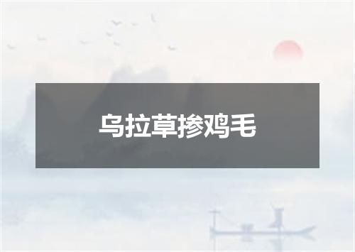 乌拉草掺鸡毛