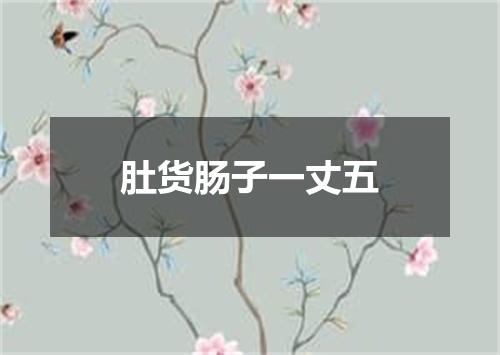 肚货肠子一丈五