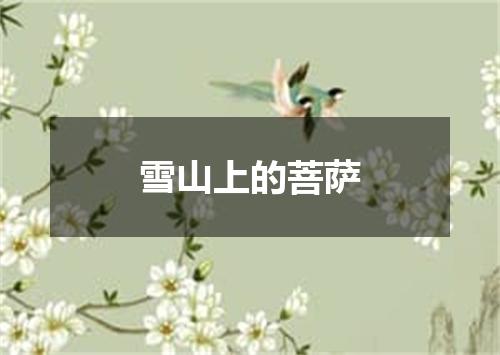 雪山上的菩萨