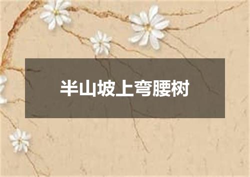 半山坡上弯腰树
