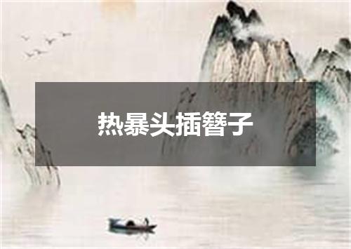 热暴头插簪子
