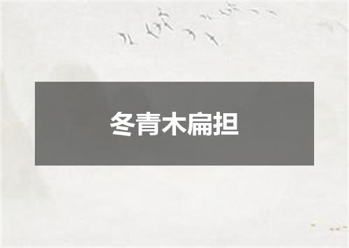 冬青木扁担