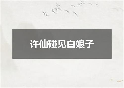 许仙碰见白娘子