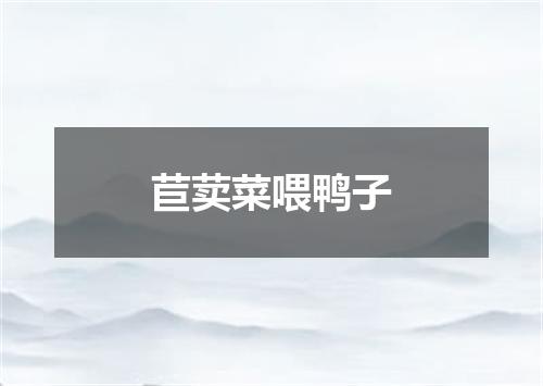 苣荬菜喂鸭子