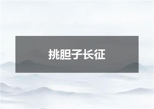 挑胆子长征