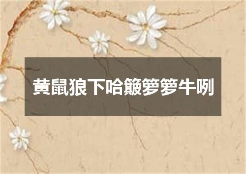 黄鼠狼下哈簸箩箩牛咧