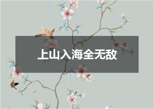 上山入海全无敌