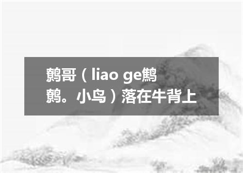 鹩哥（liao ge鹪鹩。小鸟）落在牛背上