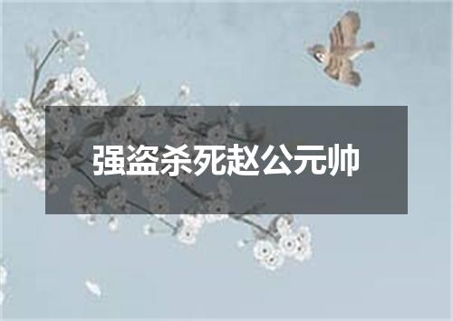 强盗杀死赵公元帅