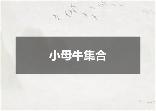 小母牛集合