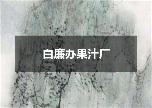 白廉办果汁厂