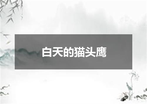 白天的猫头鹰