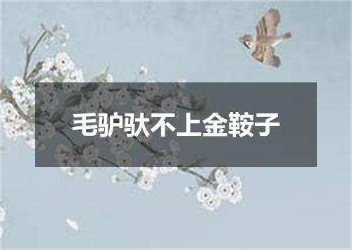 毛驴驮不上金鞍子