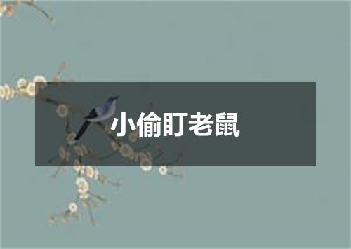小偷盯老鼠