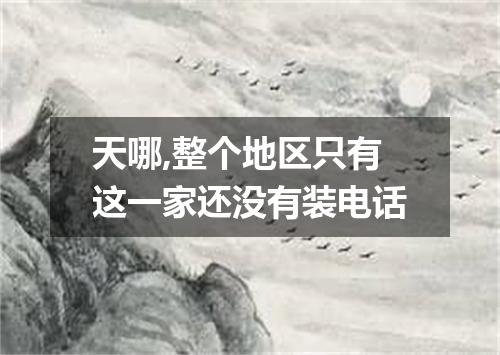 天哪,整个地区只有这一家还没有装电话