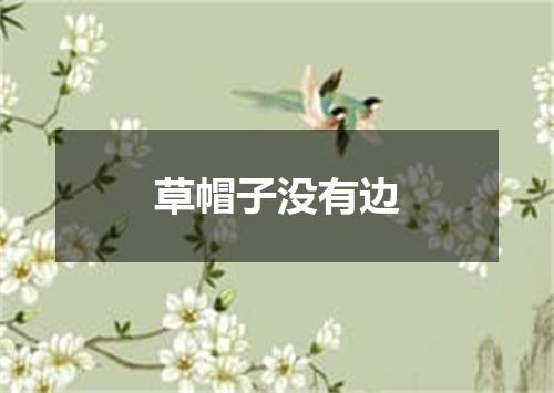 草帽子没有边