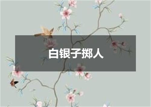 白银子掷人