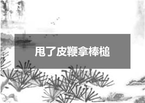 甩了皮鞭拿棒槌