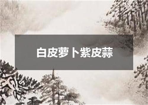 白皮萝卜紫皮蒜
