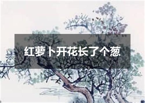 红萝卜开花长了个葱