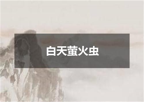 白天萤火虫