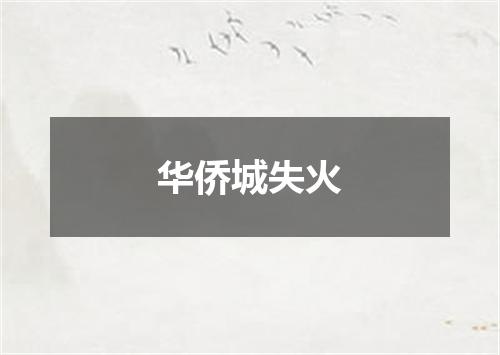 华侨城失火
