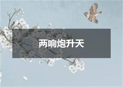 两响炮升天