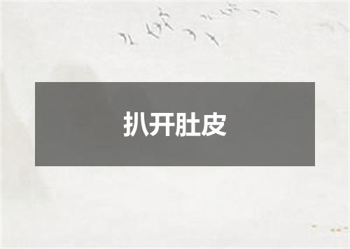 扒开肚皮