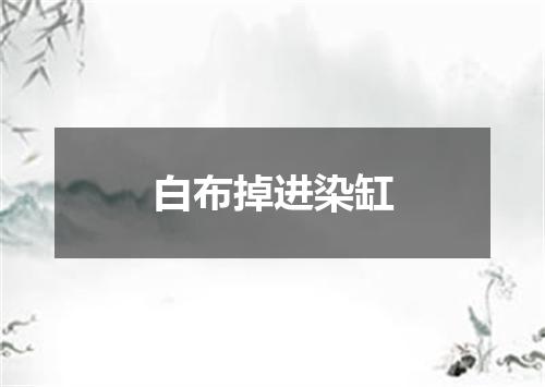 白布掉进染缸