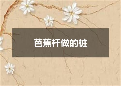 芭蕉杆做的桩