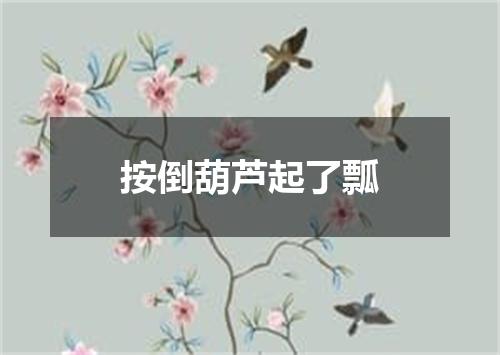 按倒葫芦起了瓢