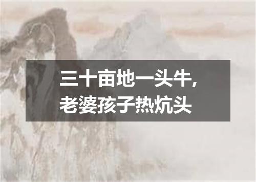 三十亩地一头牛,老婆孩子热炕头