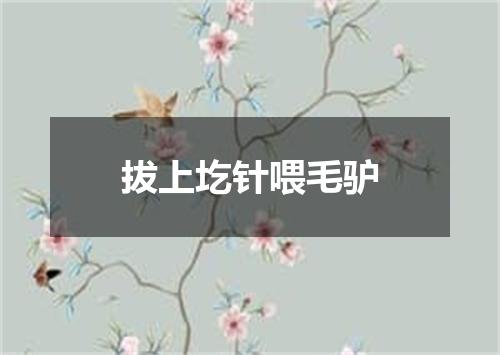 拔上圪针喂毛驴