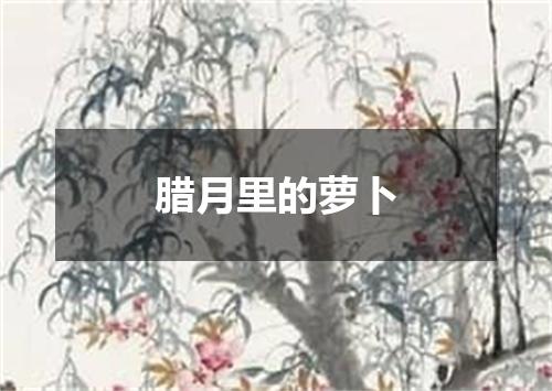 腊月里的萝卜
