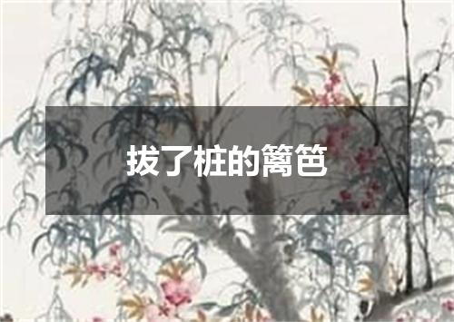 拔了桩的篱笆