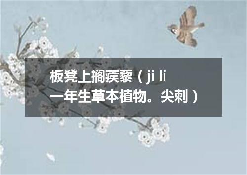 板凳上搁蒺藜（ji li一年生草本植物。尖刺）