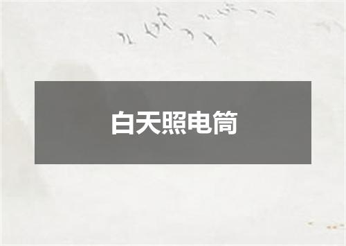 白天照电筒