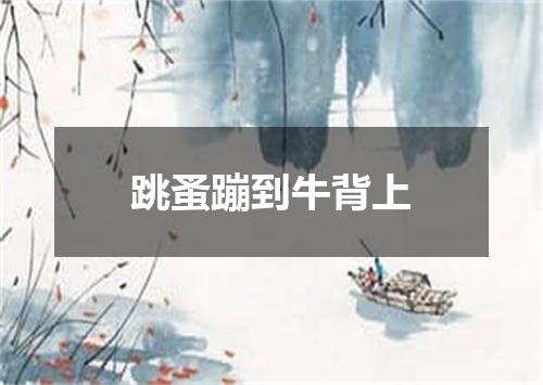 跳蚤蹦到牛背上