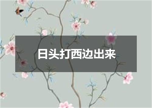 日头打西边出来