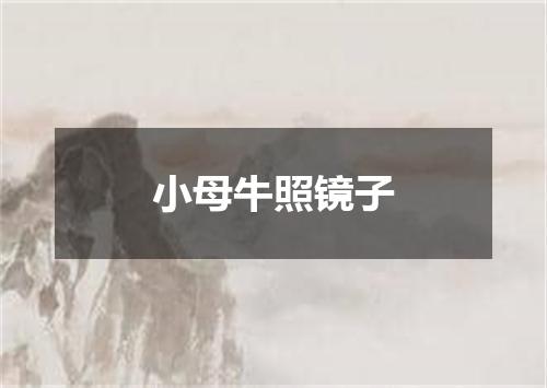 小母牛照镜子