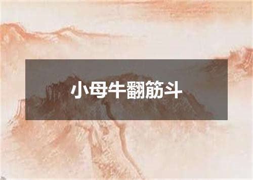 小母牛翻筋斗
